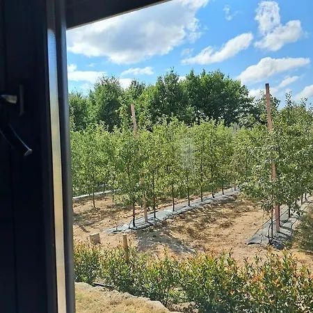 Semesterbostad Casa Da Comba -refugio Rural Com Piscina Exclusiva Alhais